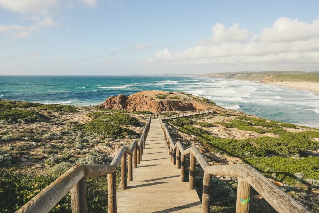 Photography of seashore during daytime